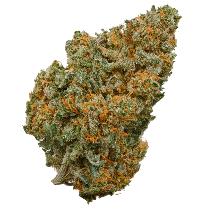 Lemon Og Triploid