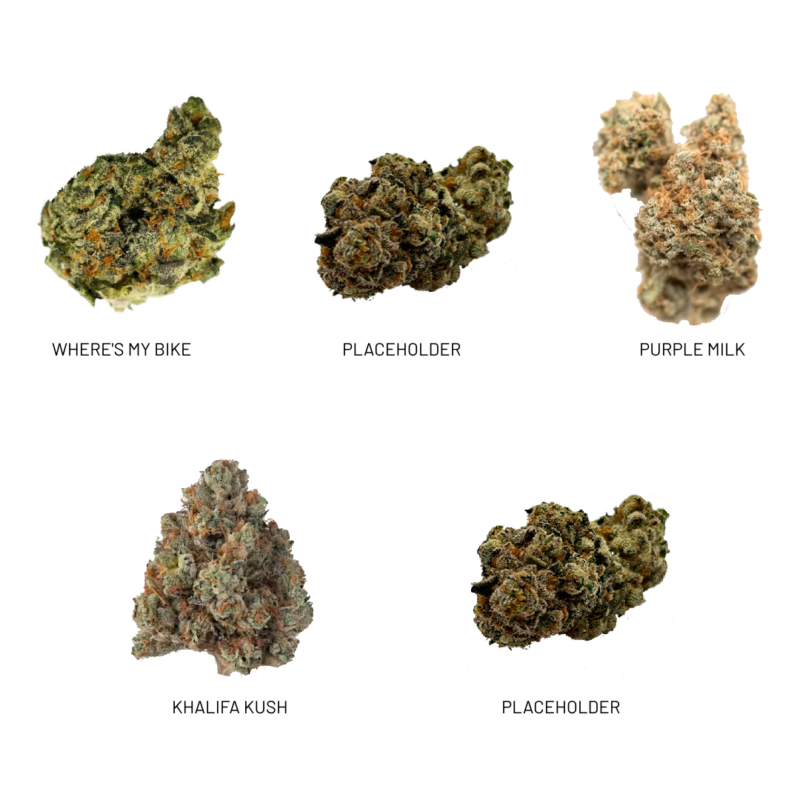 Toke & Taste Ensemble - Image 2