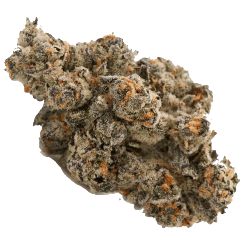 White Truffle